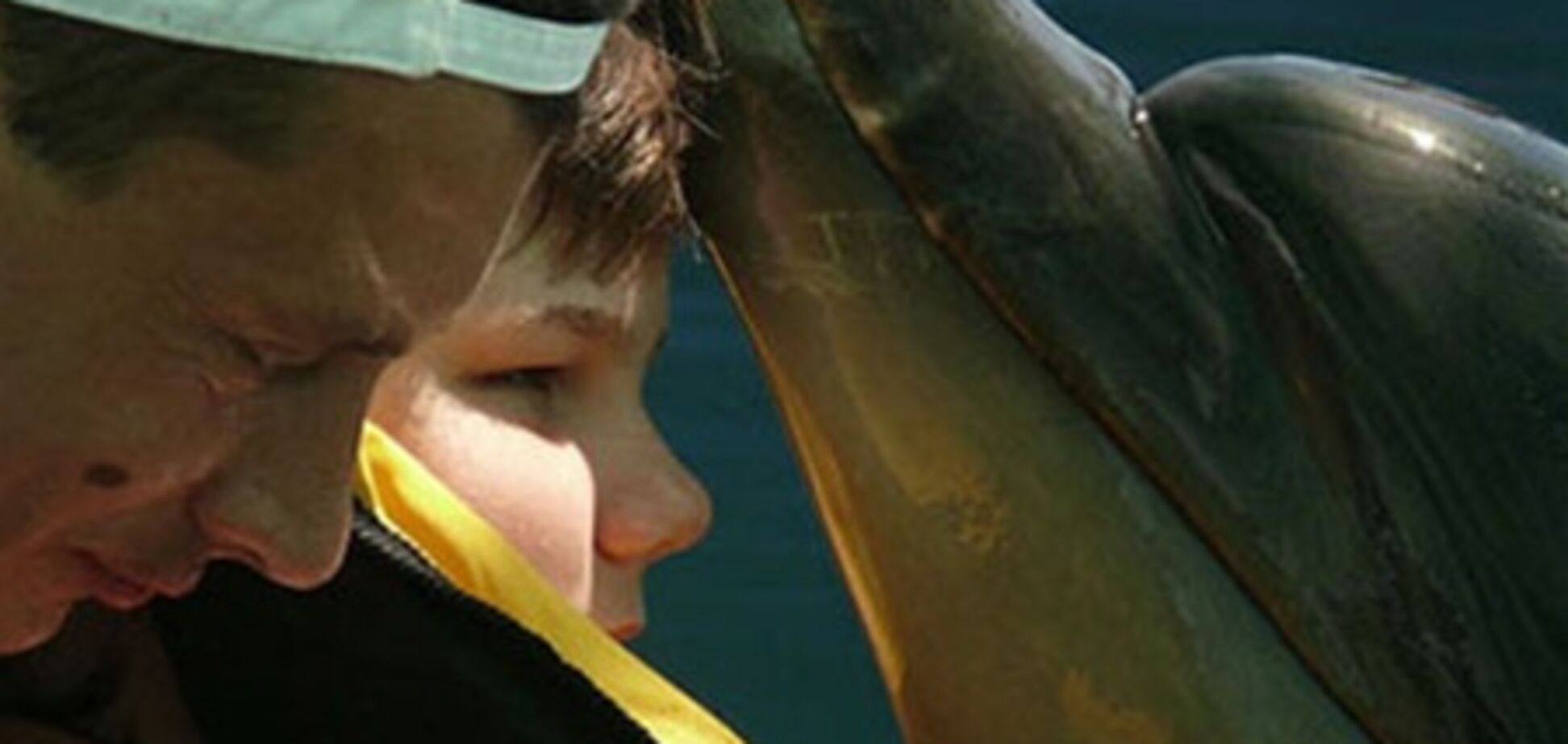 Дельфин излечил девочку от слепоты