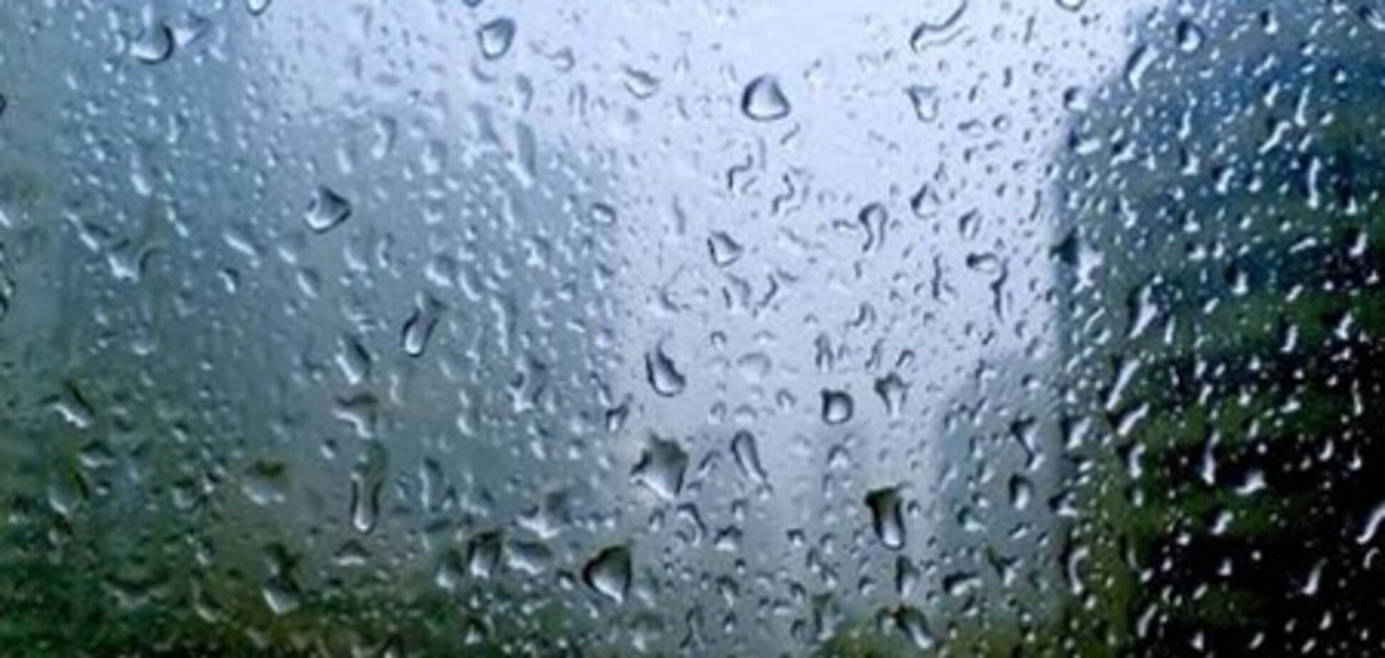 Дожди испортят в Киеве погоду, 12 декабря 2011