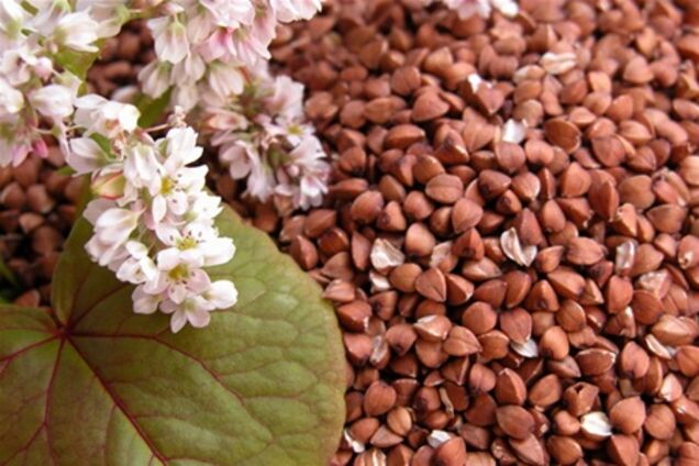 'Гречневая лихорадка' может повториться