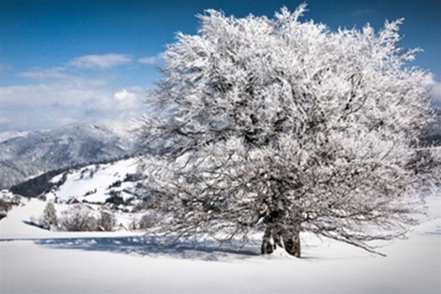 Налаштовуємося на сніжне настрій