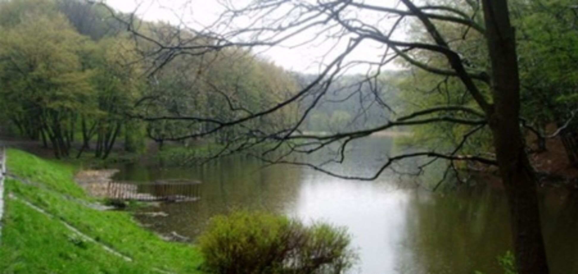 Киевсовет передаст Голосеевскому парку около 2 тыс. га земли