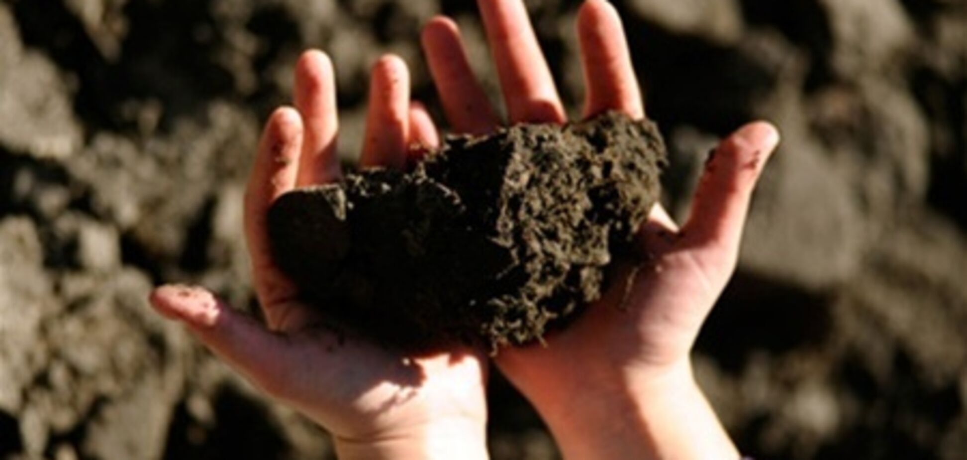 Украинские богачи не смогут стать латифундистами