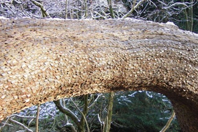 Деньги не растут на деревьях… или все-таки растут?