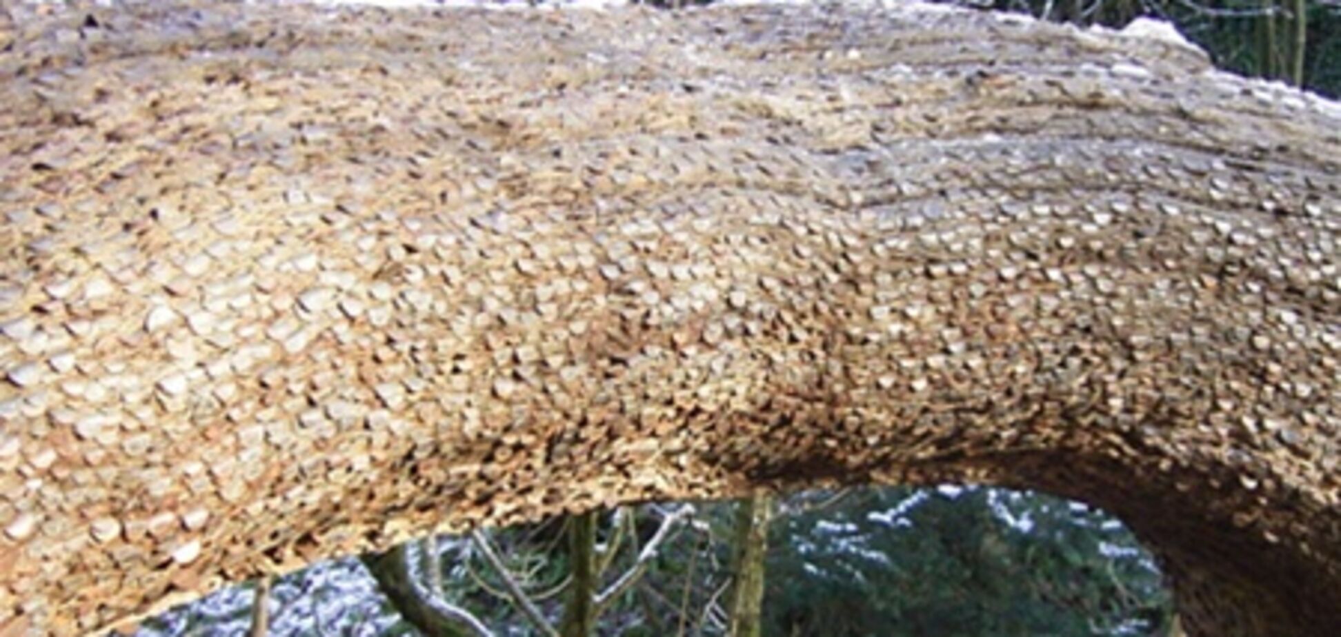 Деньги не растут на деревьях… или все-таки растут?