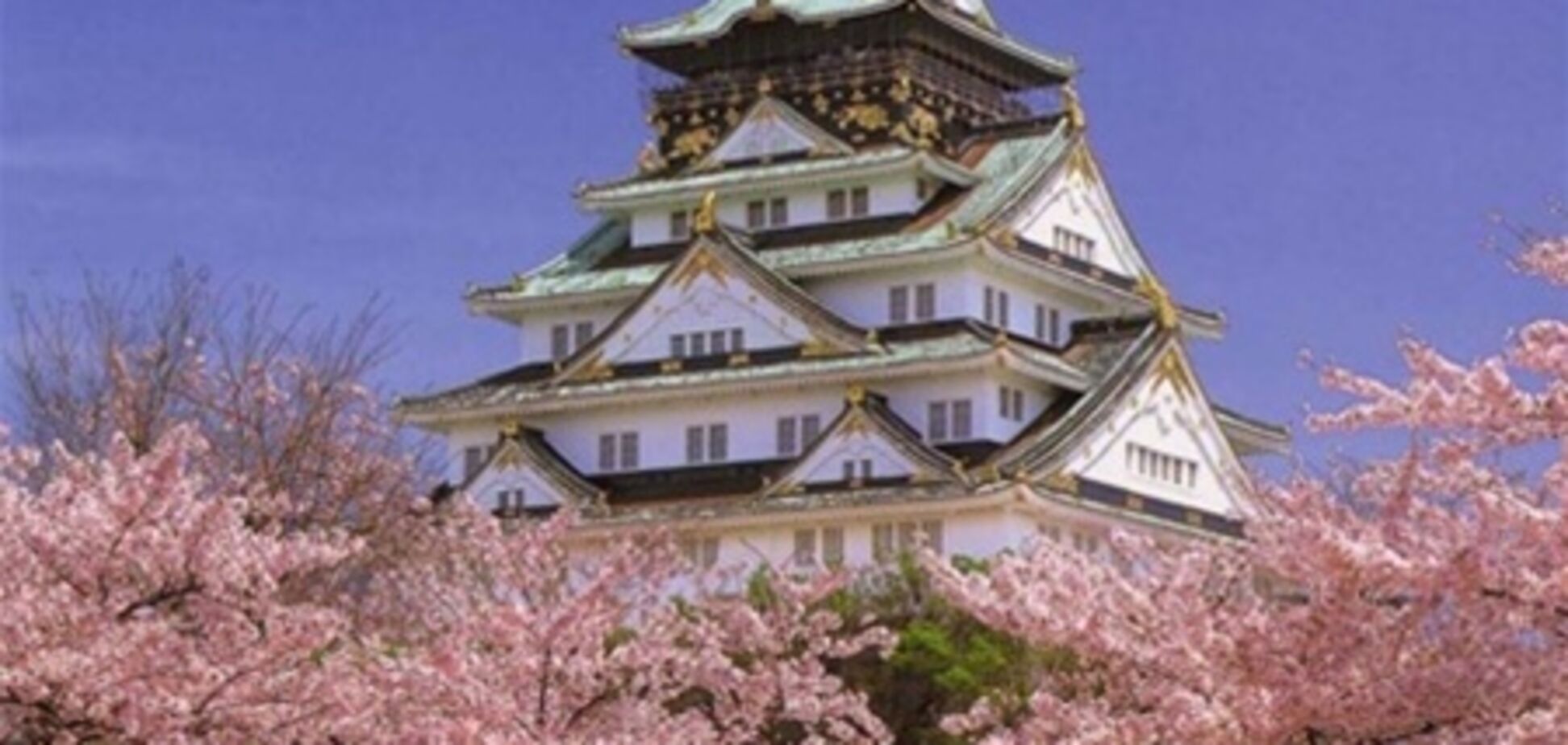 На Новый год в Японии накрывают стол за 8000 гривен