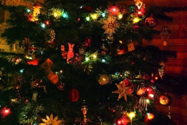 У Польщі міняли ялинку на старі батарейки