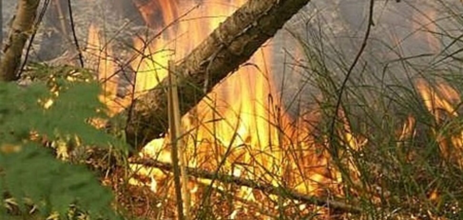 Водій, замітаючи сліди ДТП, спалив у полі збитого чоловіка