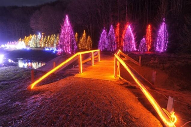 1.2 мільйона різдвяних вогнів