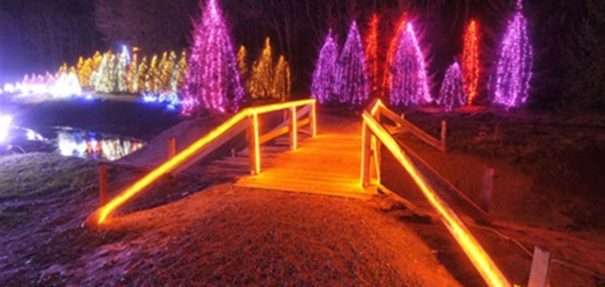 1.2 мільйона різдвяних вогнів