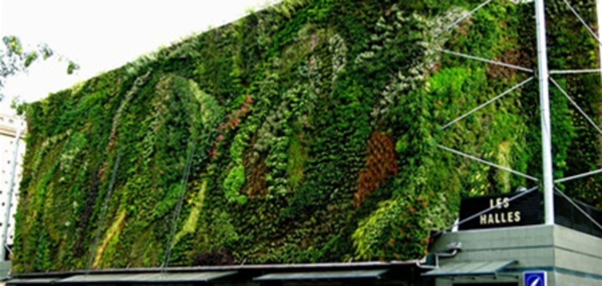 Вертикальные сады Патрика Блана