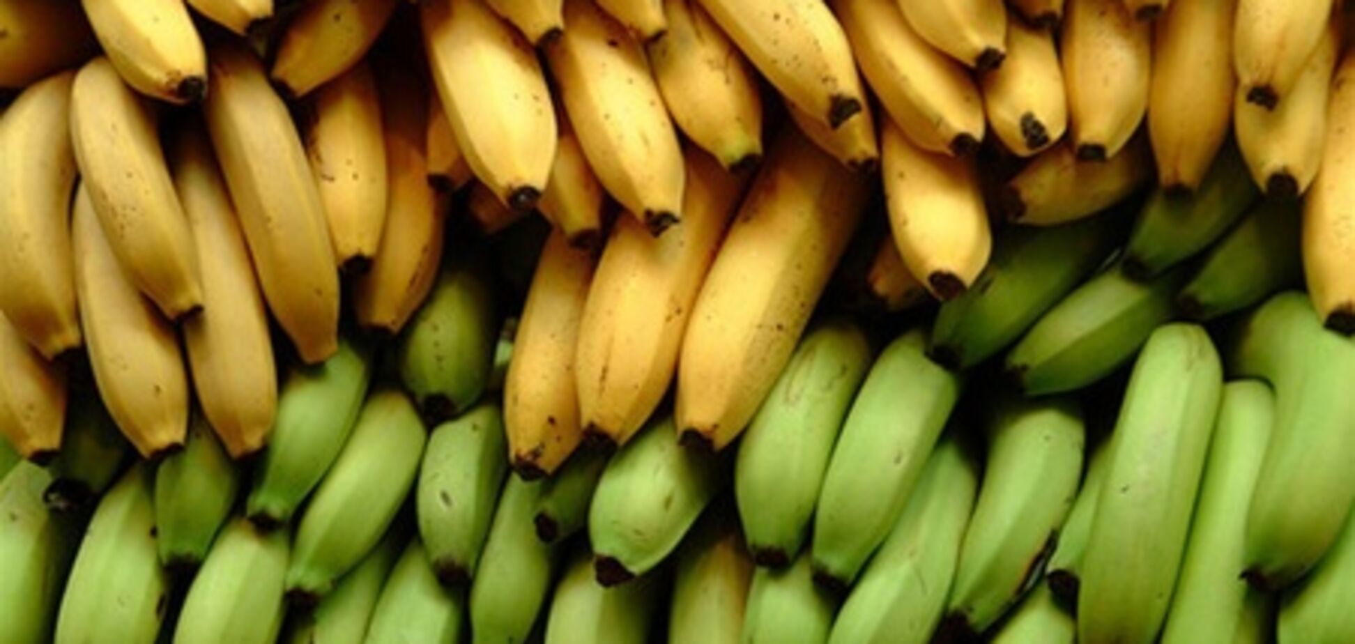 Потребительская корзина: дорожают бананы и масло