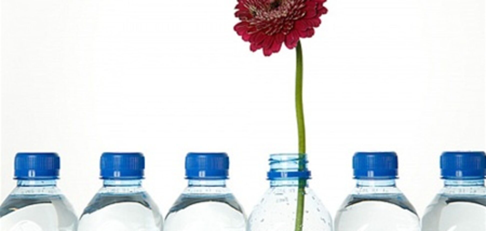 В Украине отменили сертификацию рыбных консервов, соков и минералки