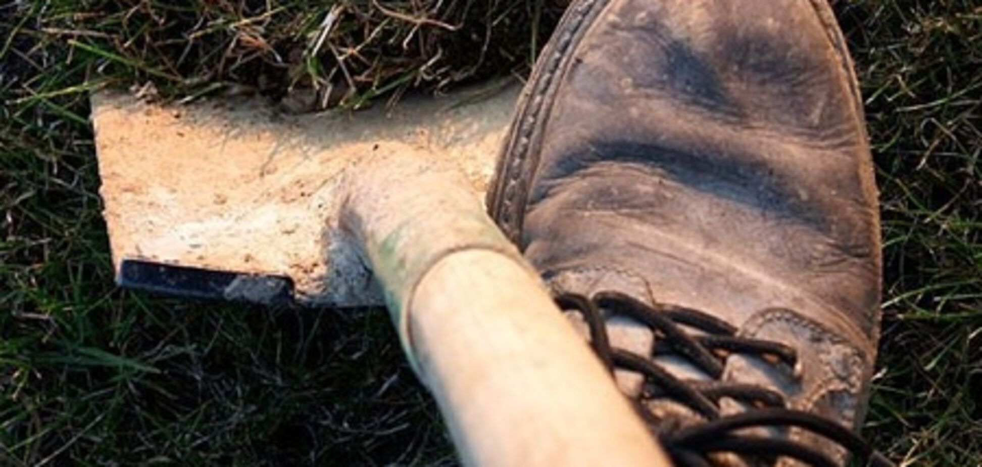 Депутаты продлили мораторий на продажу земли до 2013 года