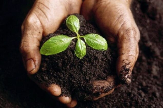 Аграрии: такой закон о рынке земли нам не нужен