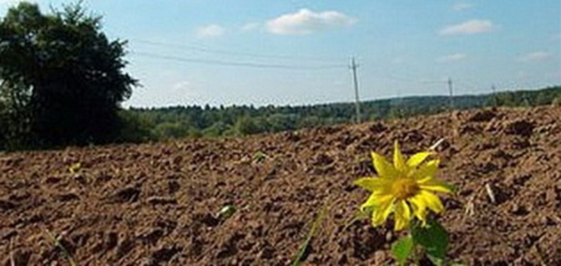 В ПР пояснили, зачем продлили мораторий на продажу земли