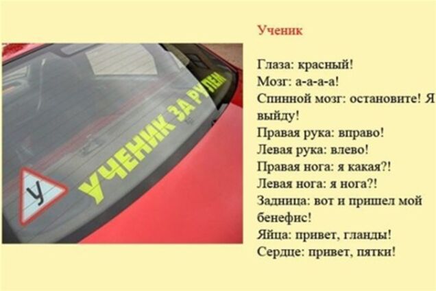 Определены 'разновидности' водителей и их поведение на дороге. Фото