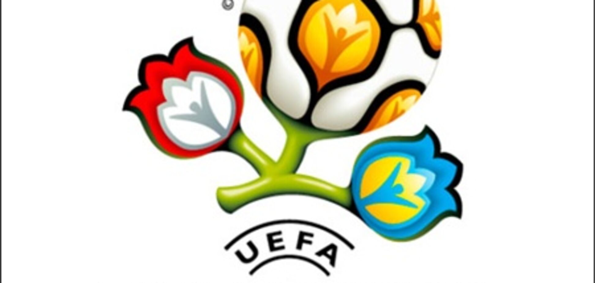 Сколько денег Украина вложила в подготовку к Евро-2012