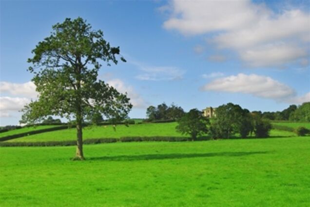 Суть земельной реформы