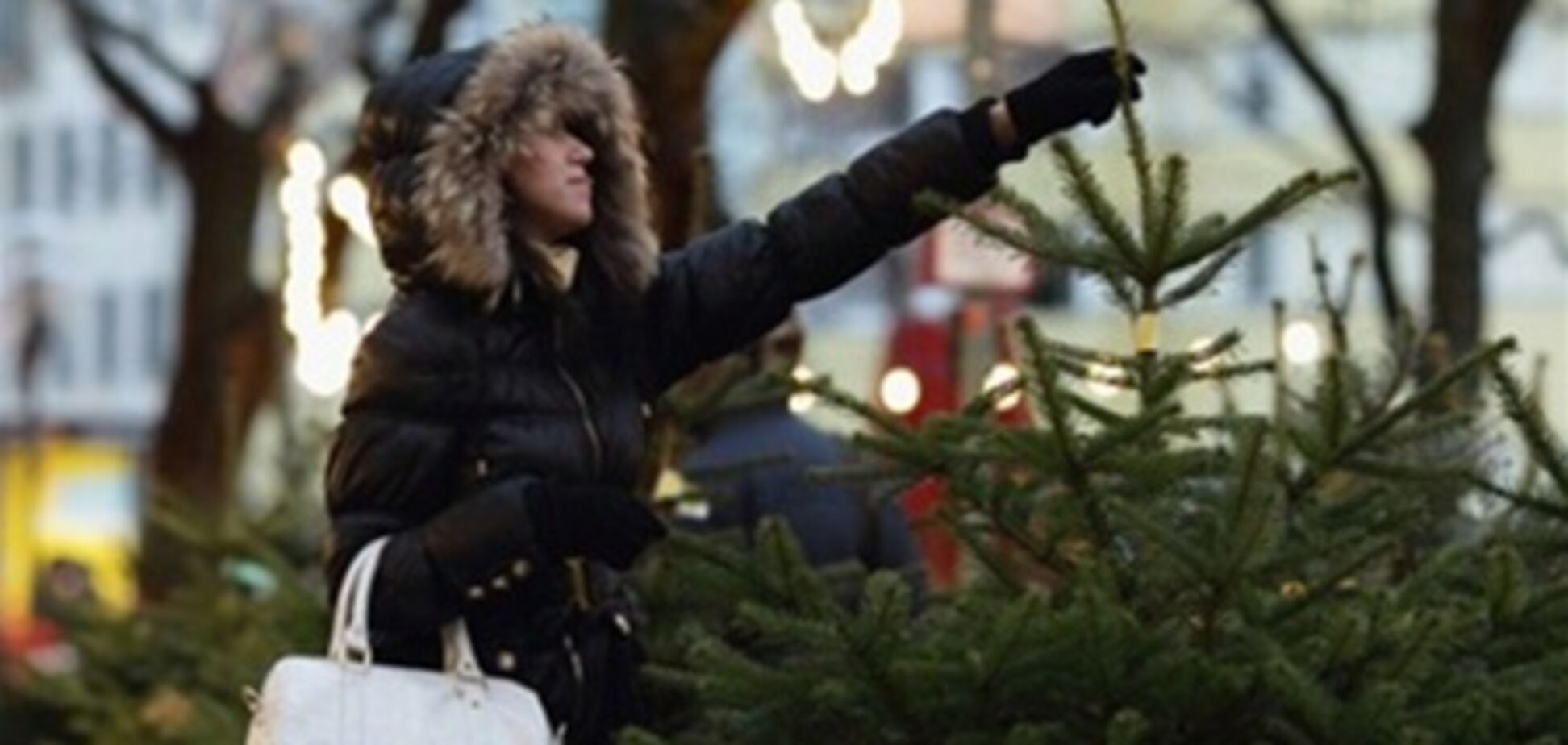 Украинцы уже купили около миллиона елок