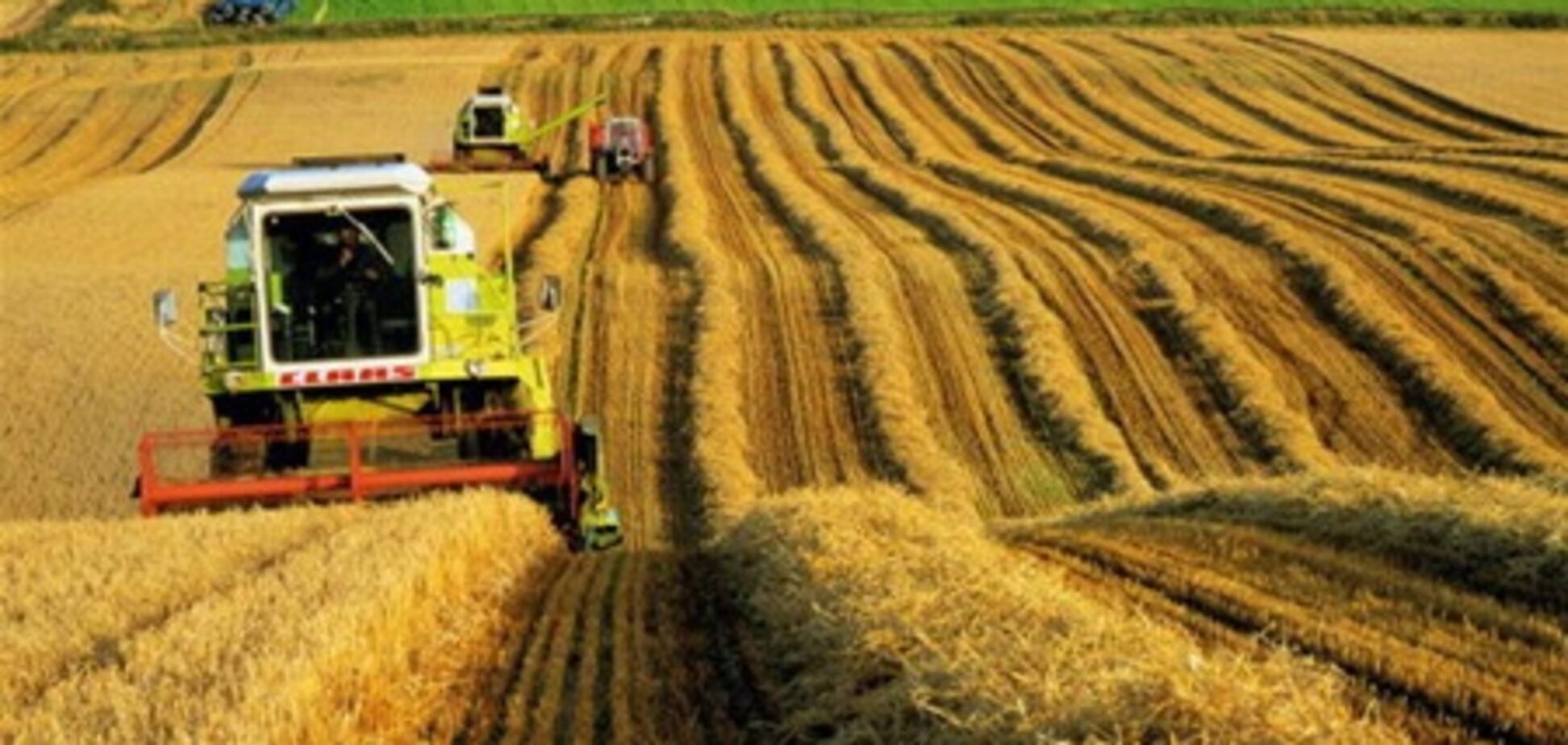 Чего ждет правительство от сельского хозяйства Украины в 2012 году