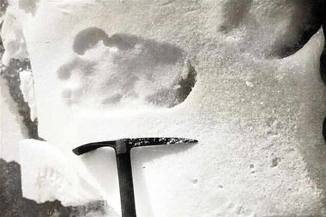 В Ингушетии пограничники поймали снежного человека