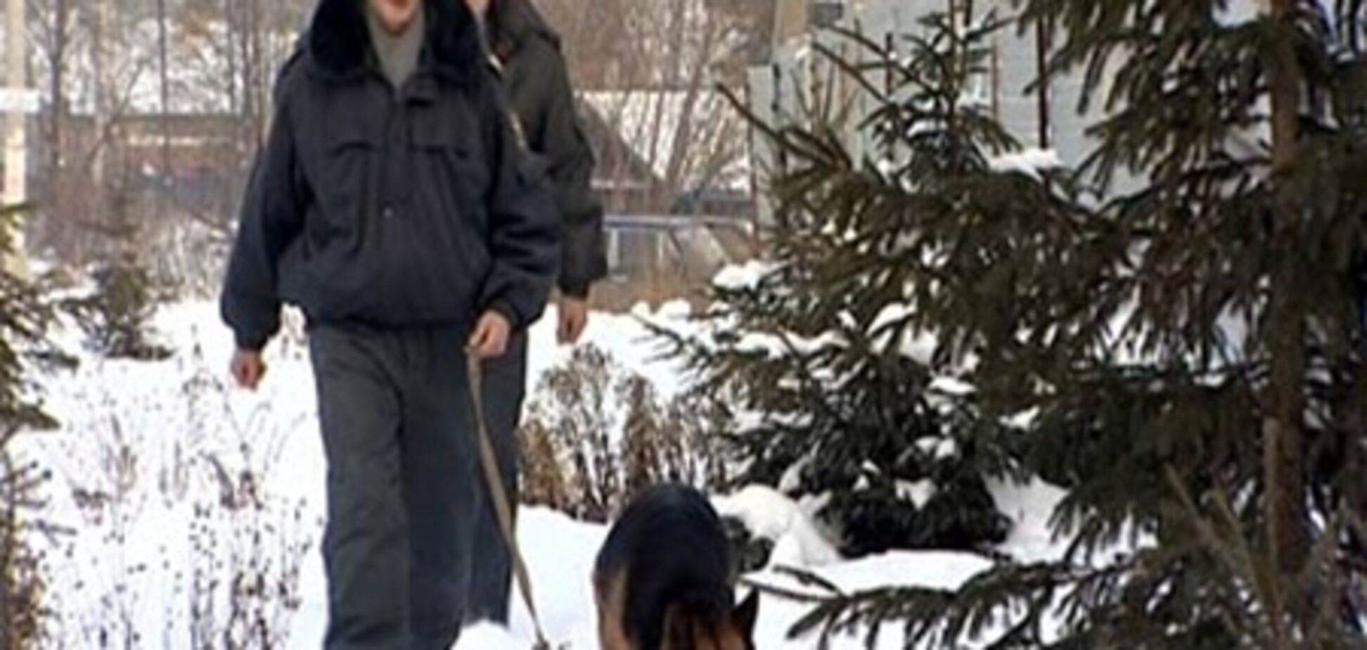 Порядок у новорічні свята охоронятимуть близько 20 тис. міліціонерів