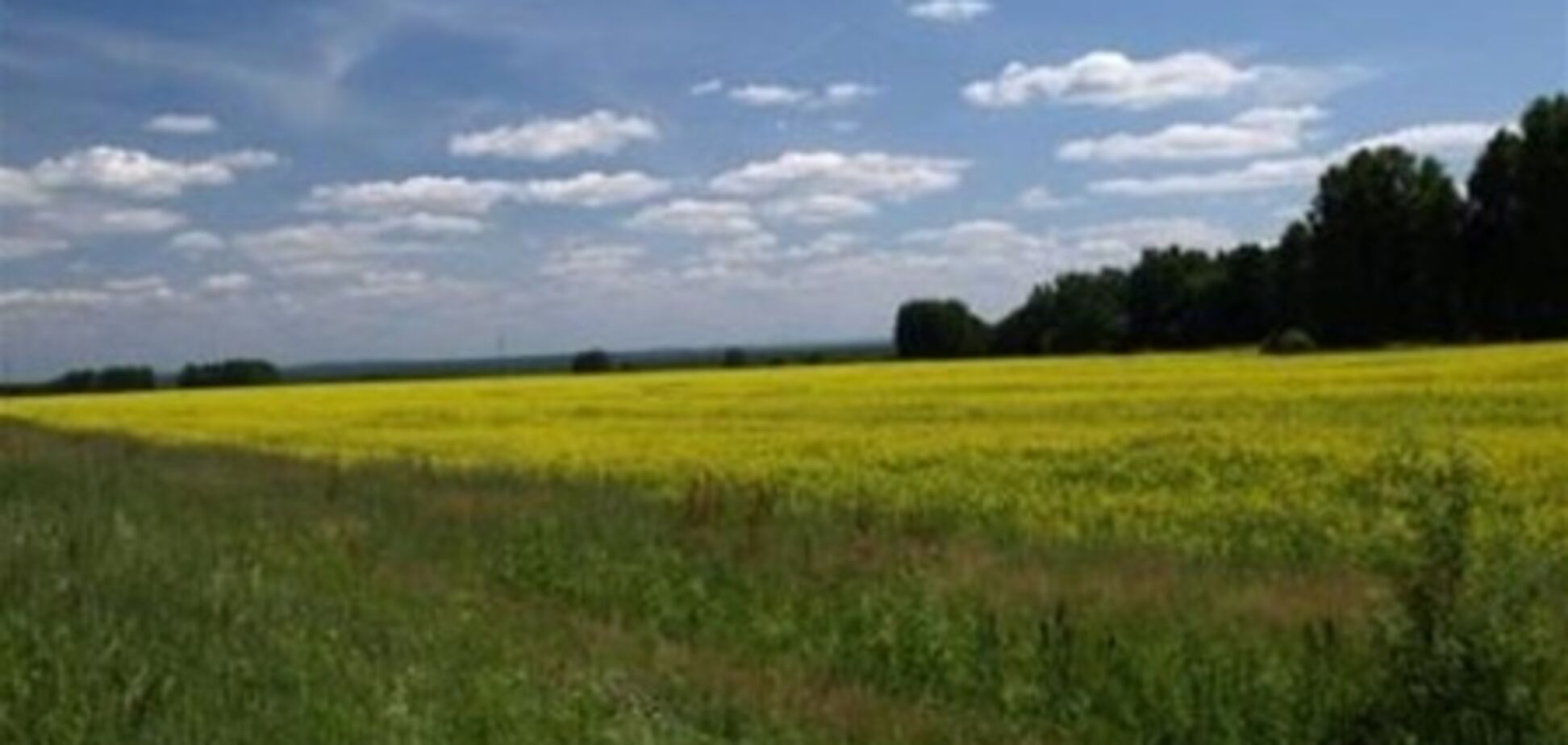 Государство сделало уступку агрохолдингам в вопросе аренды земли