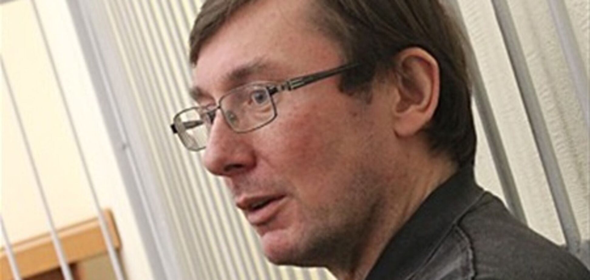 'Батьківщину' може очолити Юрій Луценко