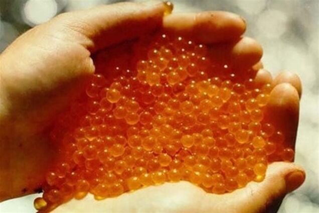 У морзі Санкт-Петербурга виявлено більше 130 кг червоної ікри