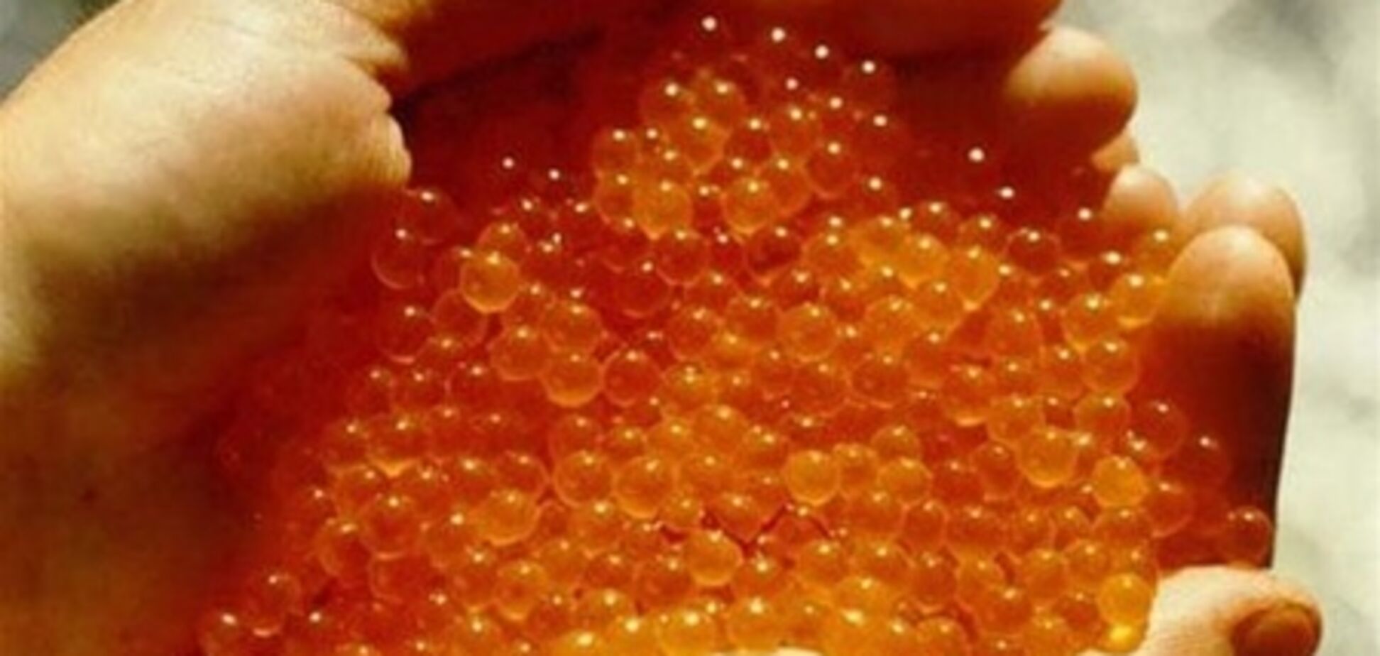 У морзі Санкт-Петербурга виявлено більше 130 кг червоної ікри