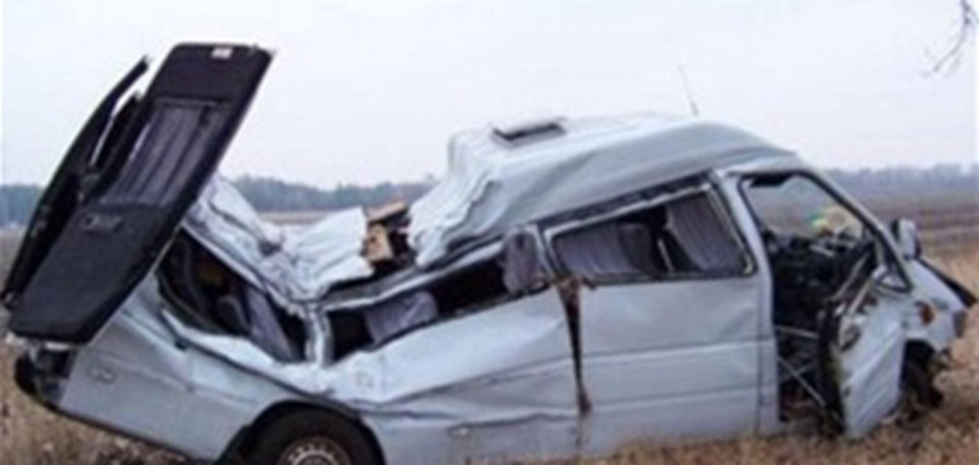 Полтавщина. Мікроавтобус врізався в дерево, загинула людина