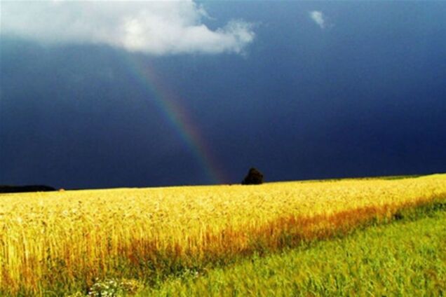 Законопроект о рынке земли будет рассмотрен на следующей неделе