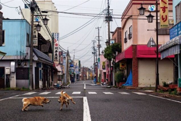 АЭС Фукусима – зона риска