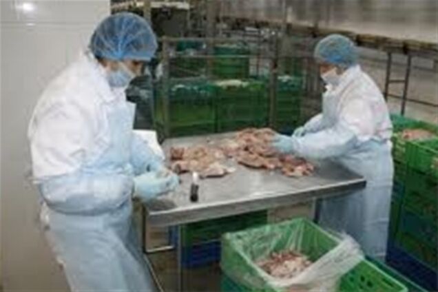 «Комплекс Агромарс» намерен направить лучших сотрудников упаковочного цеха на стажировку в Голландию