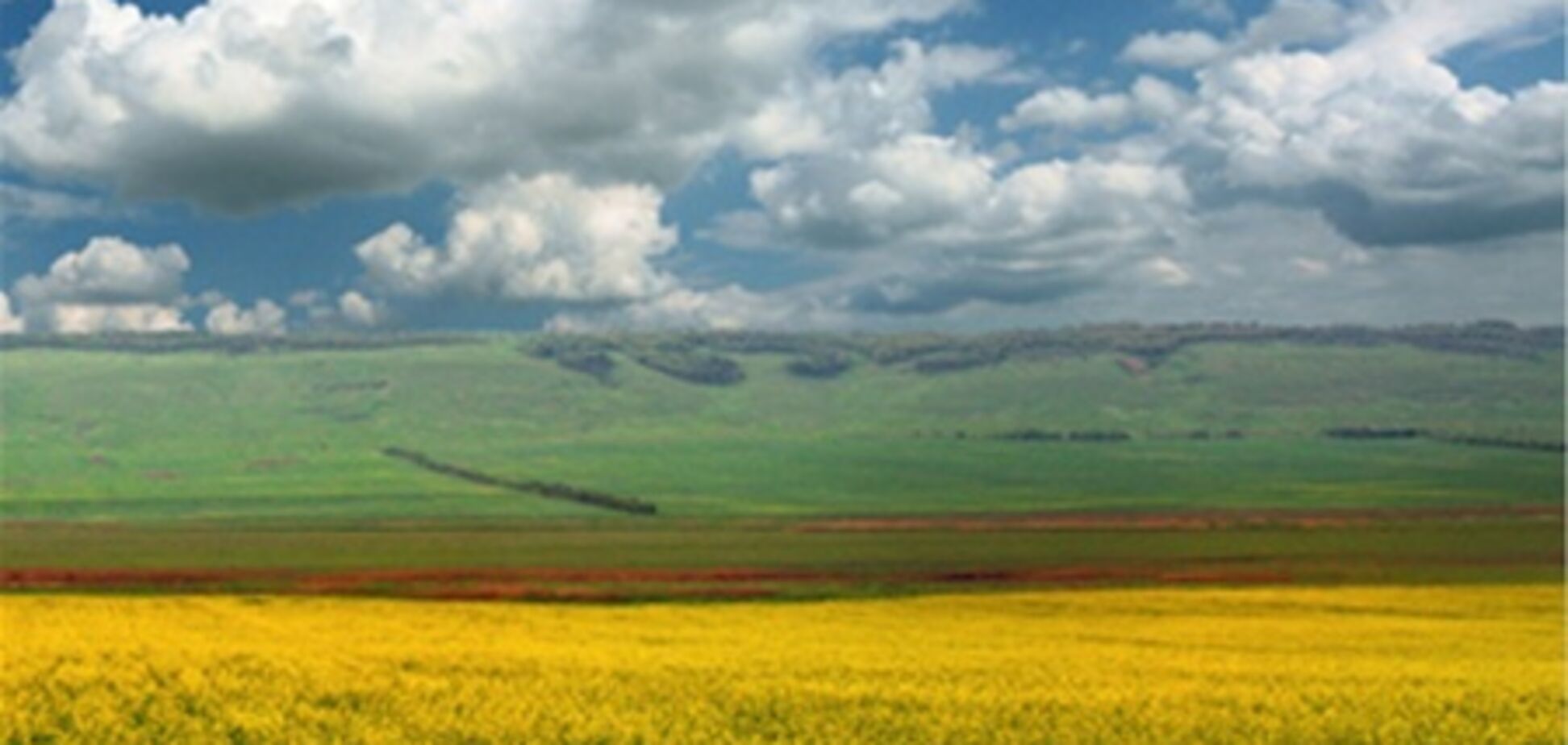 За прошлый месяц в Киеве продали около 1000 земельных участков