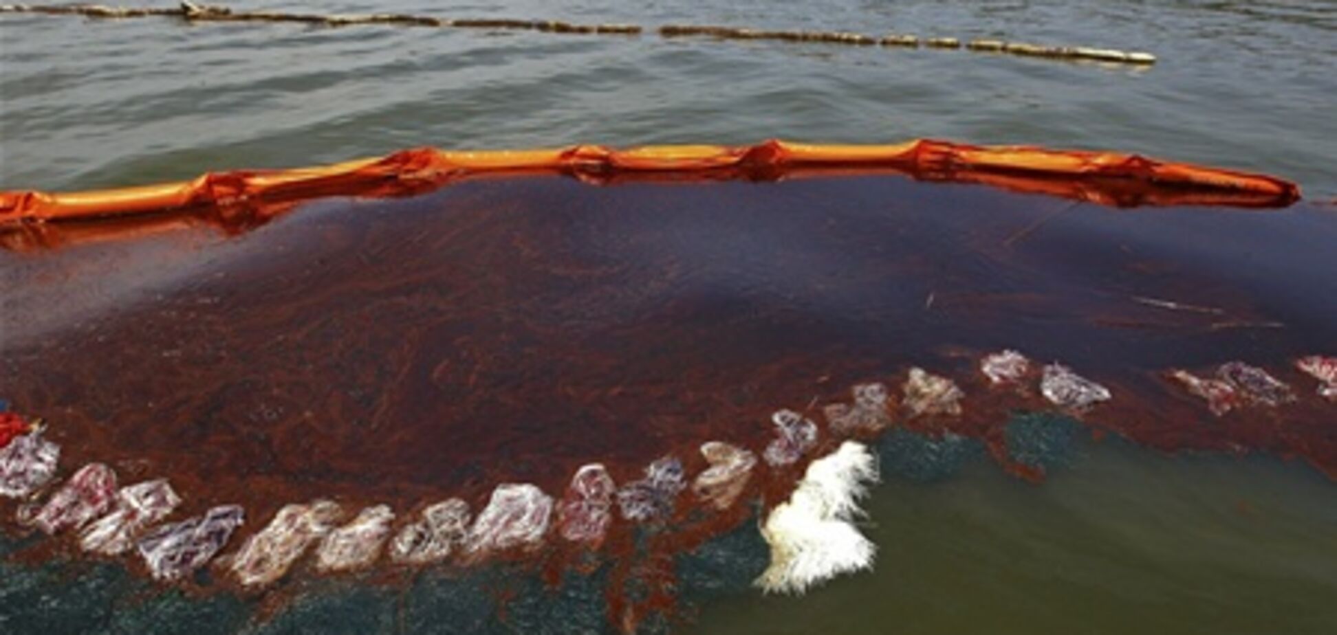 Уничтожены улики по делу о разливе нефти в Мексиканском заливе весной 2010