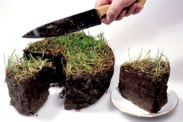 На Вінниччині начальник Держкомзему попався на земельних махінаціях