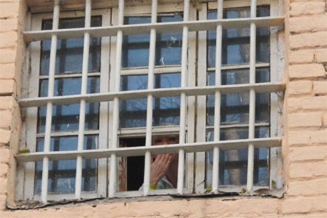 Власенко:  действия следователей по отношению к Тимошенко могут быть признаны пытками