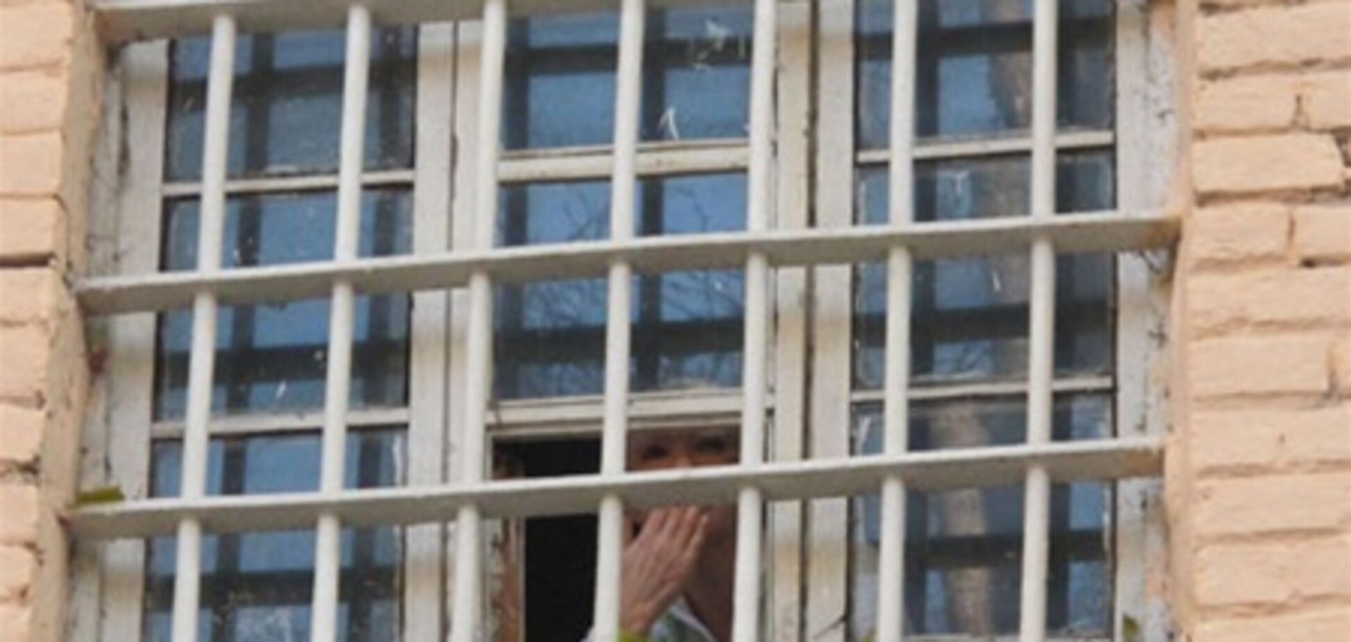 Власенко: действия следователей по отношению к Тимошенко могут быть признаны пытками