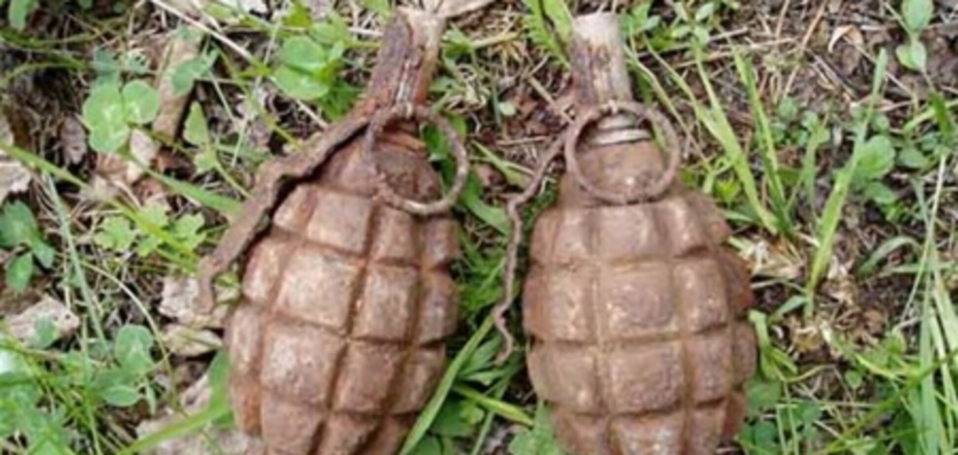 Одещина. Затримано 'чорних археологів' з кулеметом і гранатами