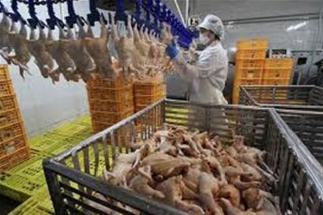 Куриные потоки в Украине: рыночные войны