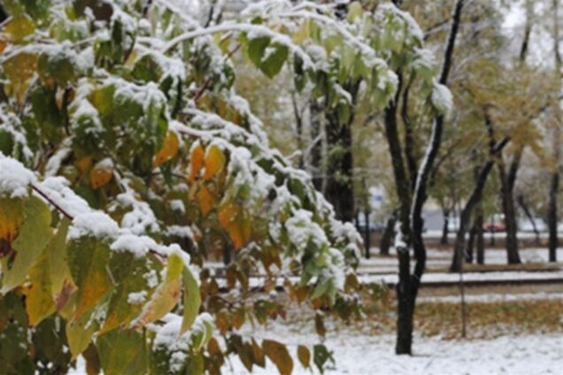 Синоптики рассказали, что будет с погодой в Киеве