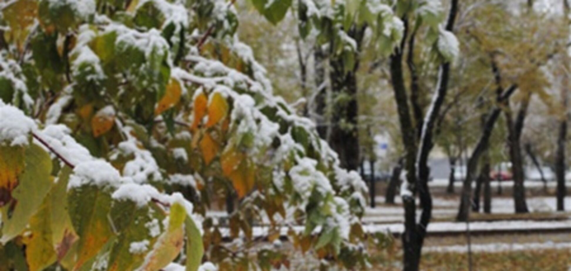 Синоптики рассказали, что будет с погодой в Киеве