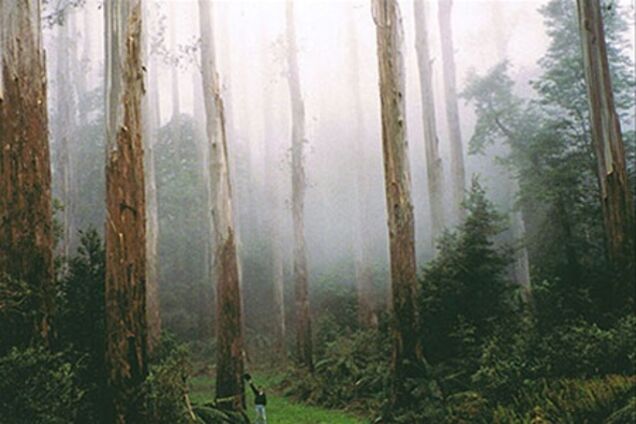 Биологи нашли 'затерянный мир'