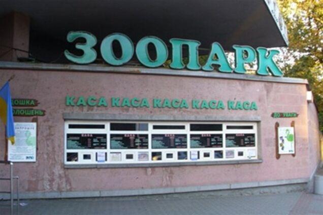 Директор из-за границы сможет спасти киевский зоопарк?