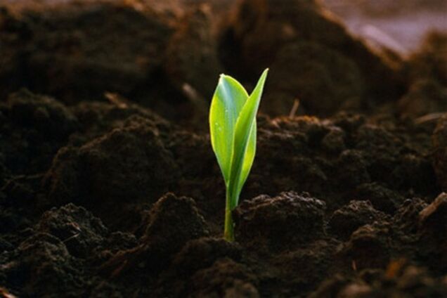 Гриценко: Украинскую землю скупят олигархи, китайцы и арабы