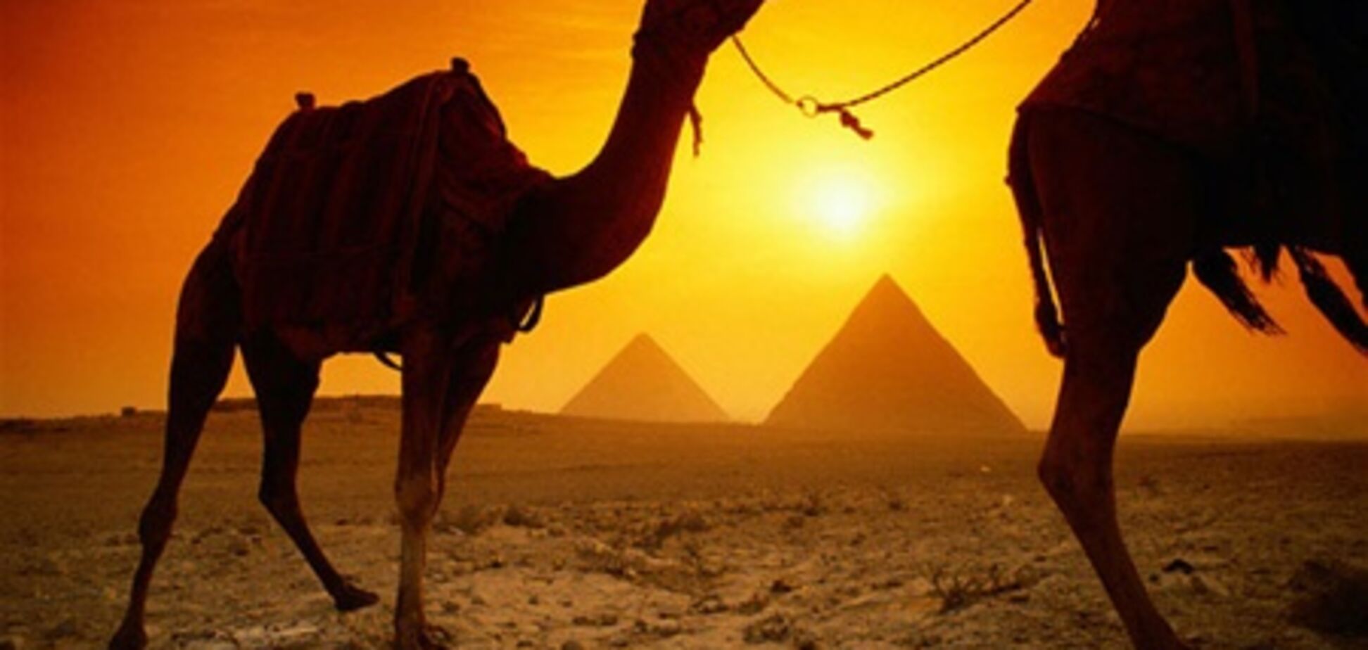 Турфирмам нельзя запретить отправлять людей в Египет