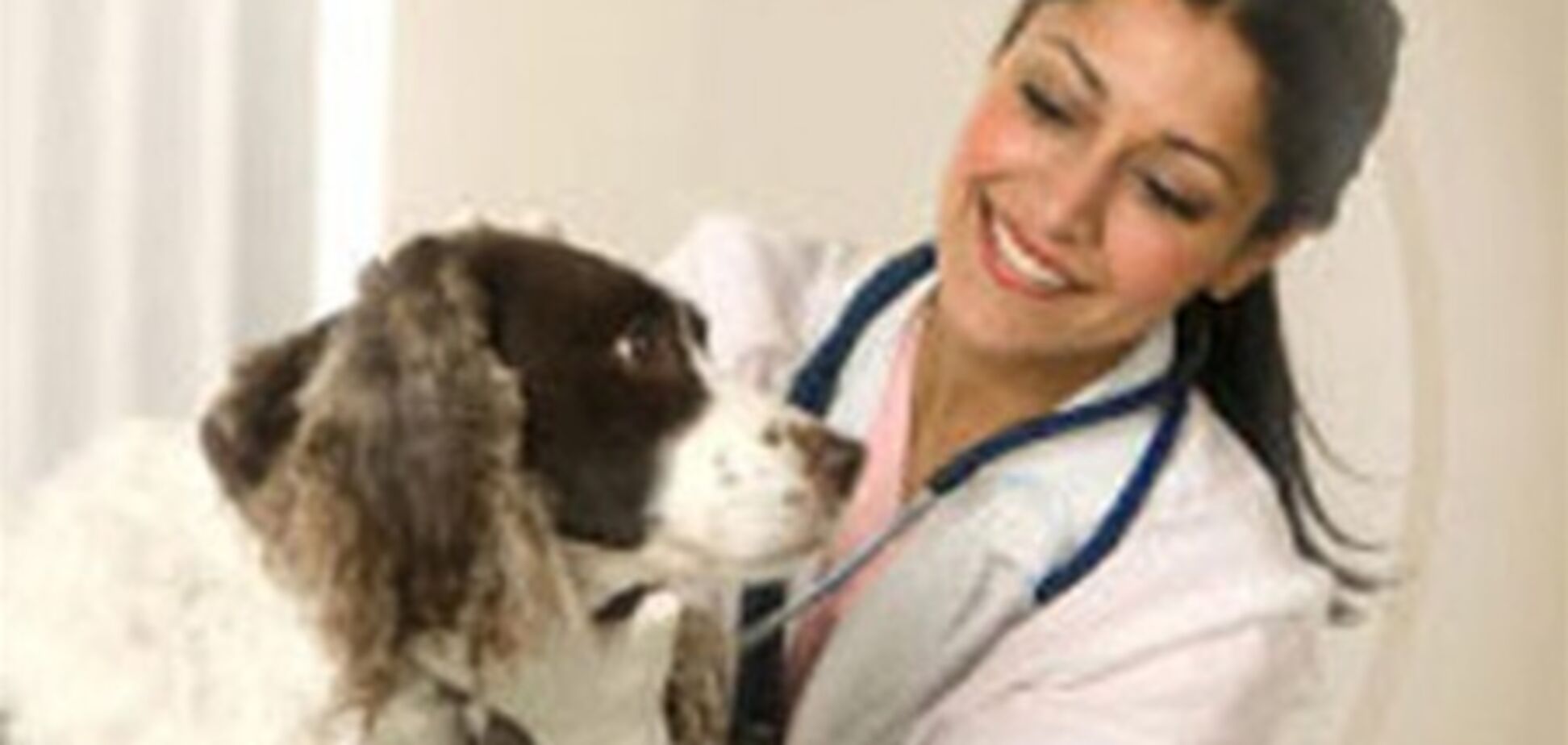 Українських ветеринарів заганяють у підпілля