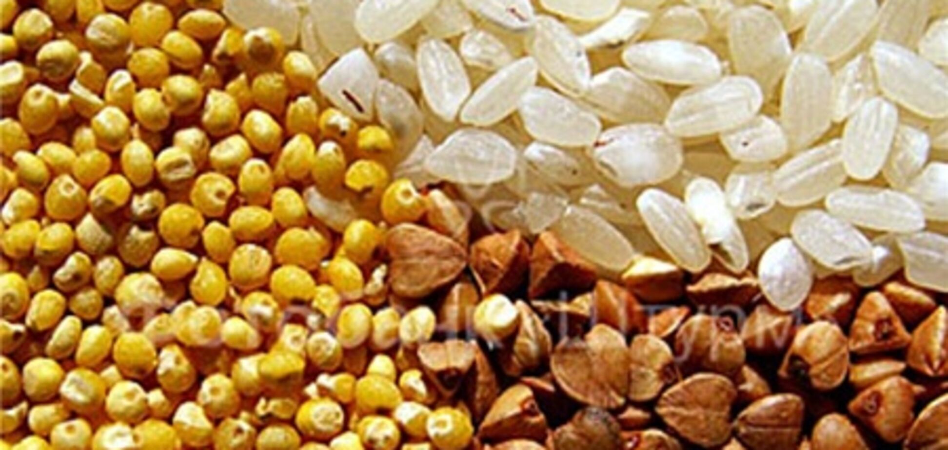 Украина третья по экспорту зерна в мире