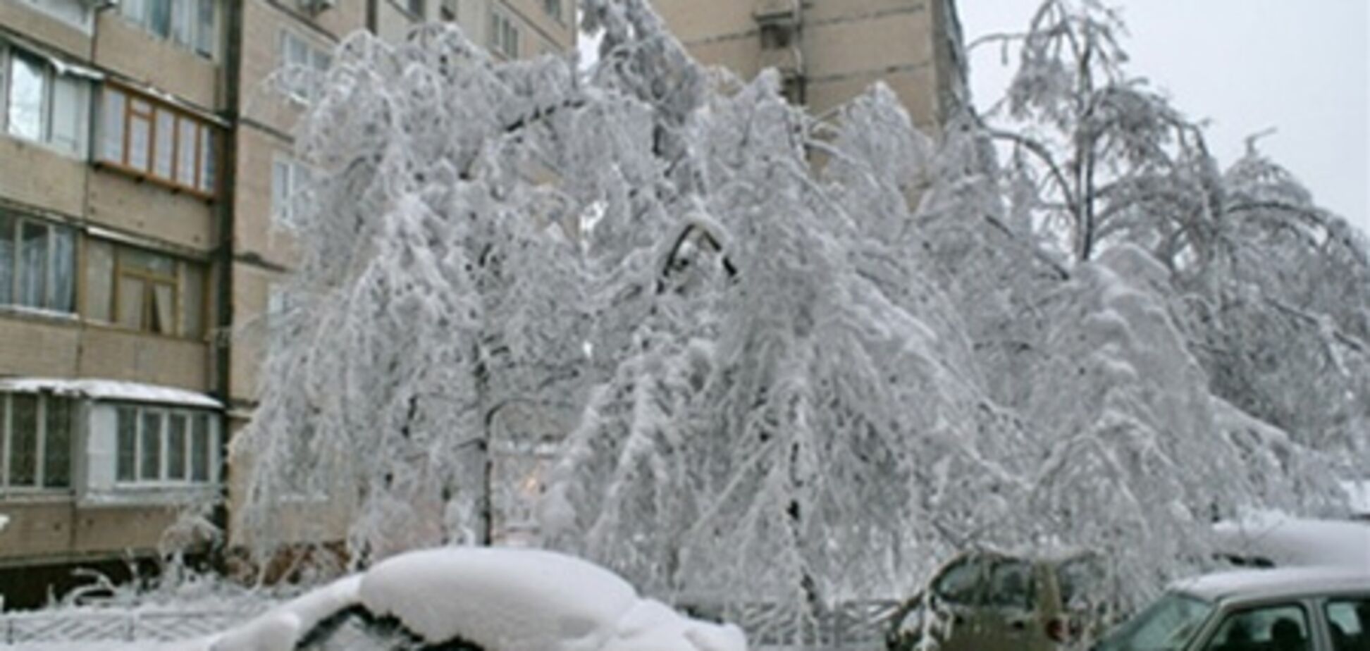 Погодный коллапс: Киев заморозит до -25